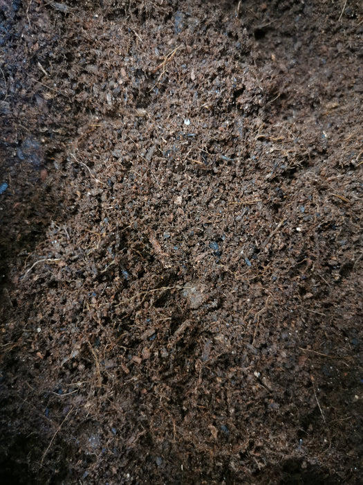 Substrat : Fibre de coco