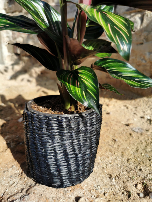 Cache-pot en osier