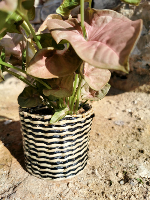 Cache-pot en osier