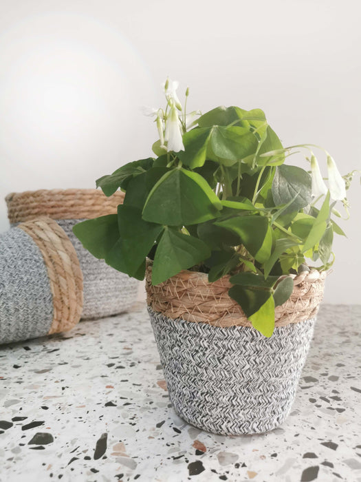 Cache-pot - tressage bleu