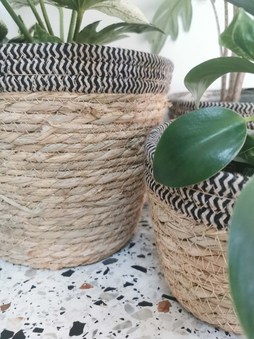 Cache-pot osier - tressage chevron