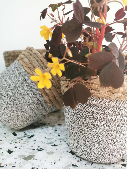 Cache-pot - tressage marron