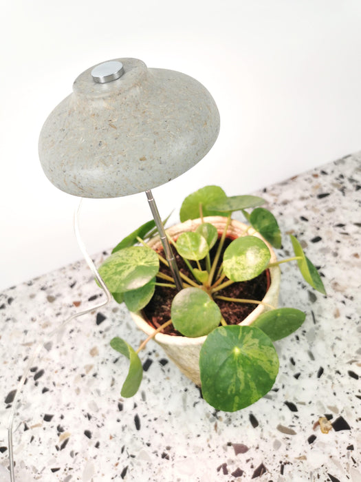 Lampe de croissance - bol