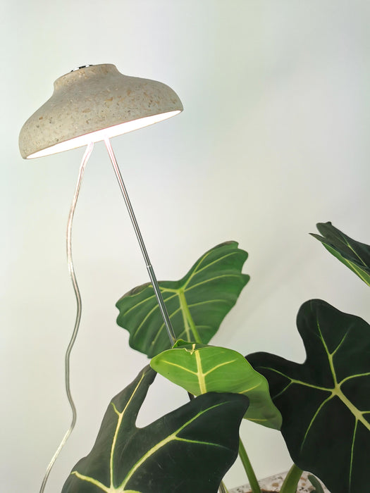 Lampe de croissance - bol