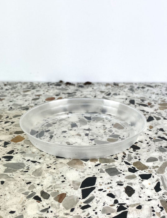 Pot Plastique Transparent 12cm