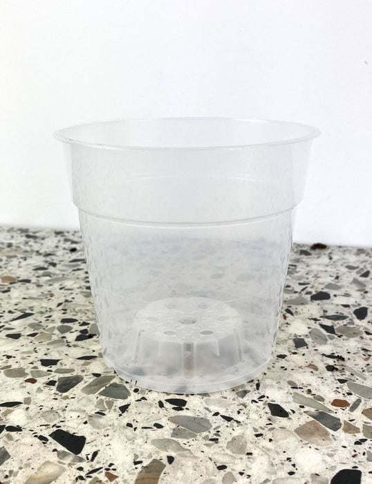 Pot Plastique Transparent 12cm